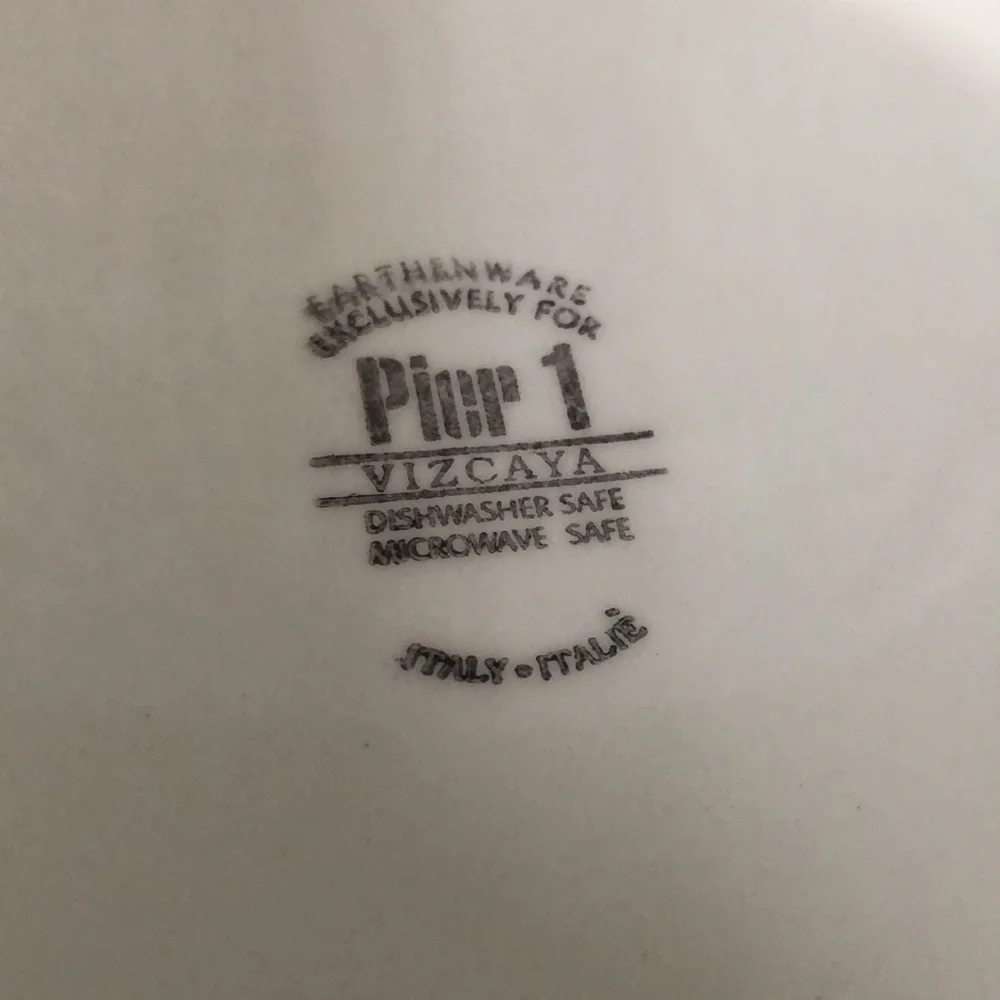 Set of 2 Pier 1 dinner plates. Perfect condition.